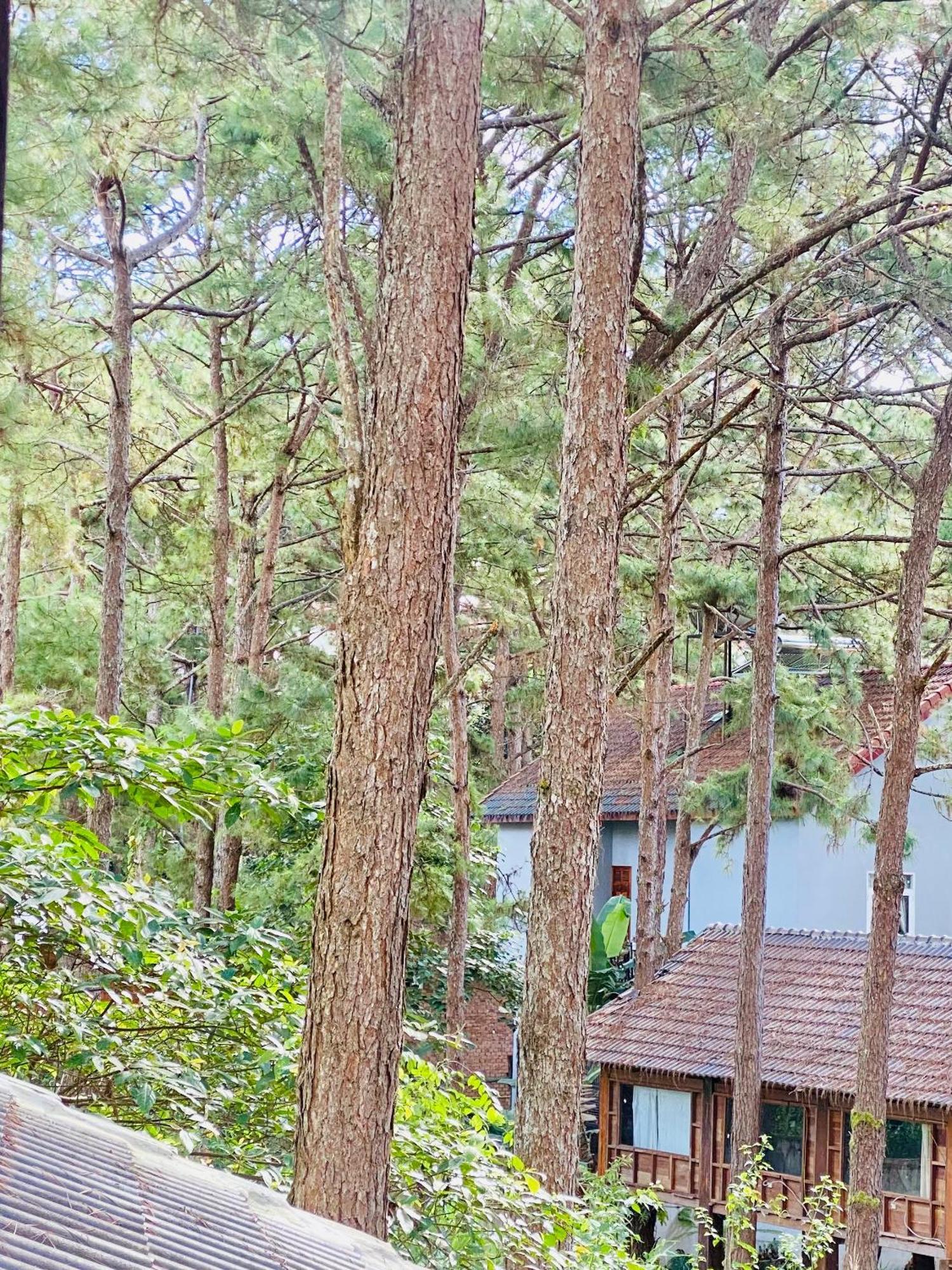 Tron Homestay Kon Von Kla Zewnętrze zdjęcie
